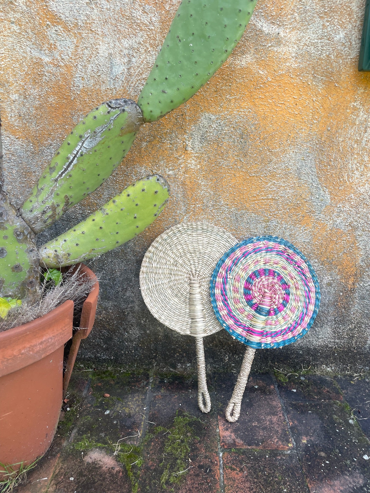 Harmony Fan