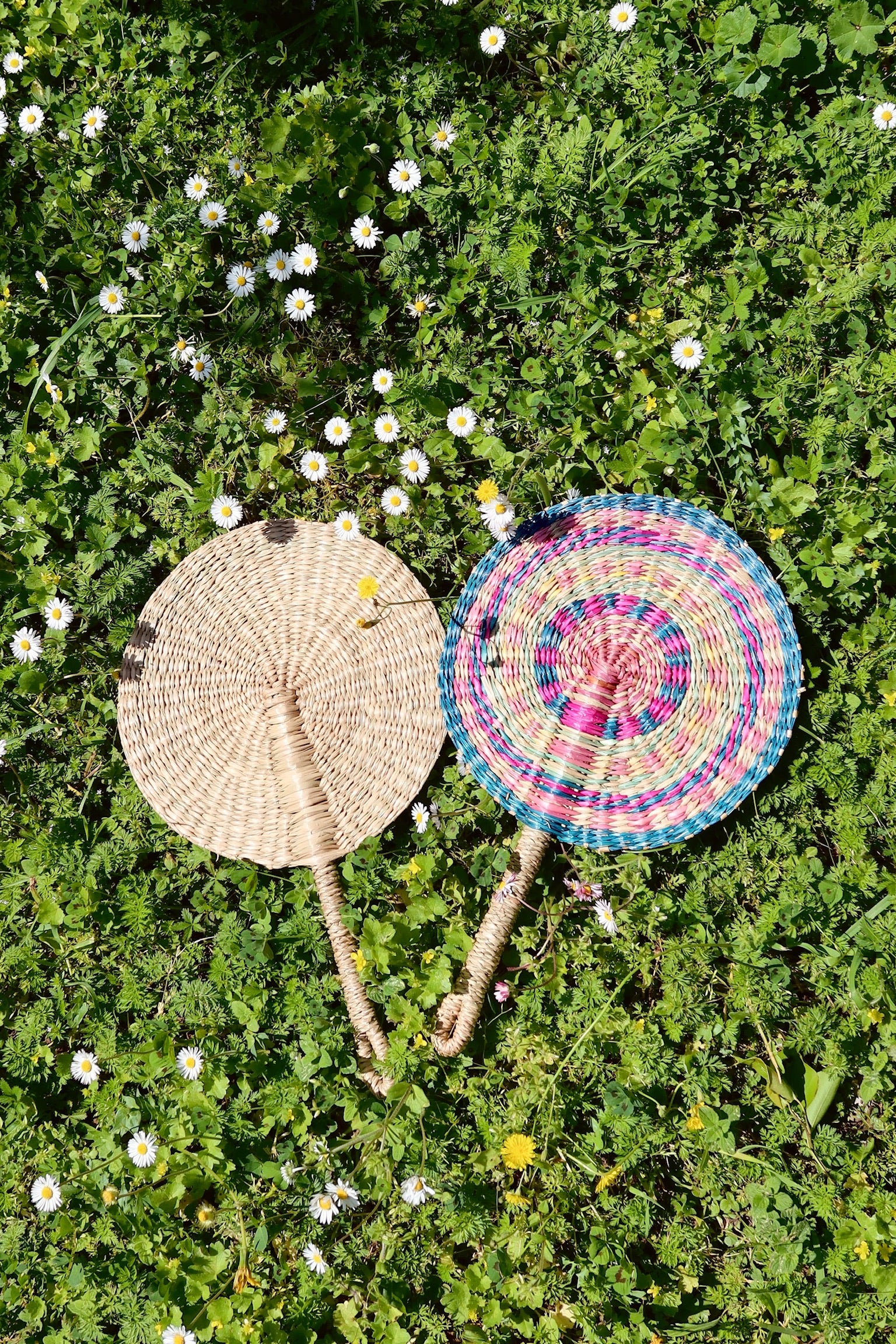 Harmony Fan