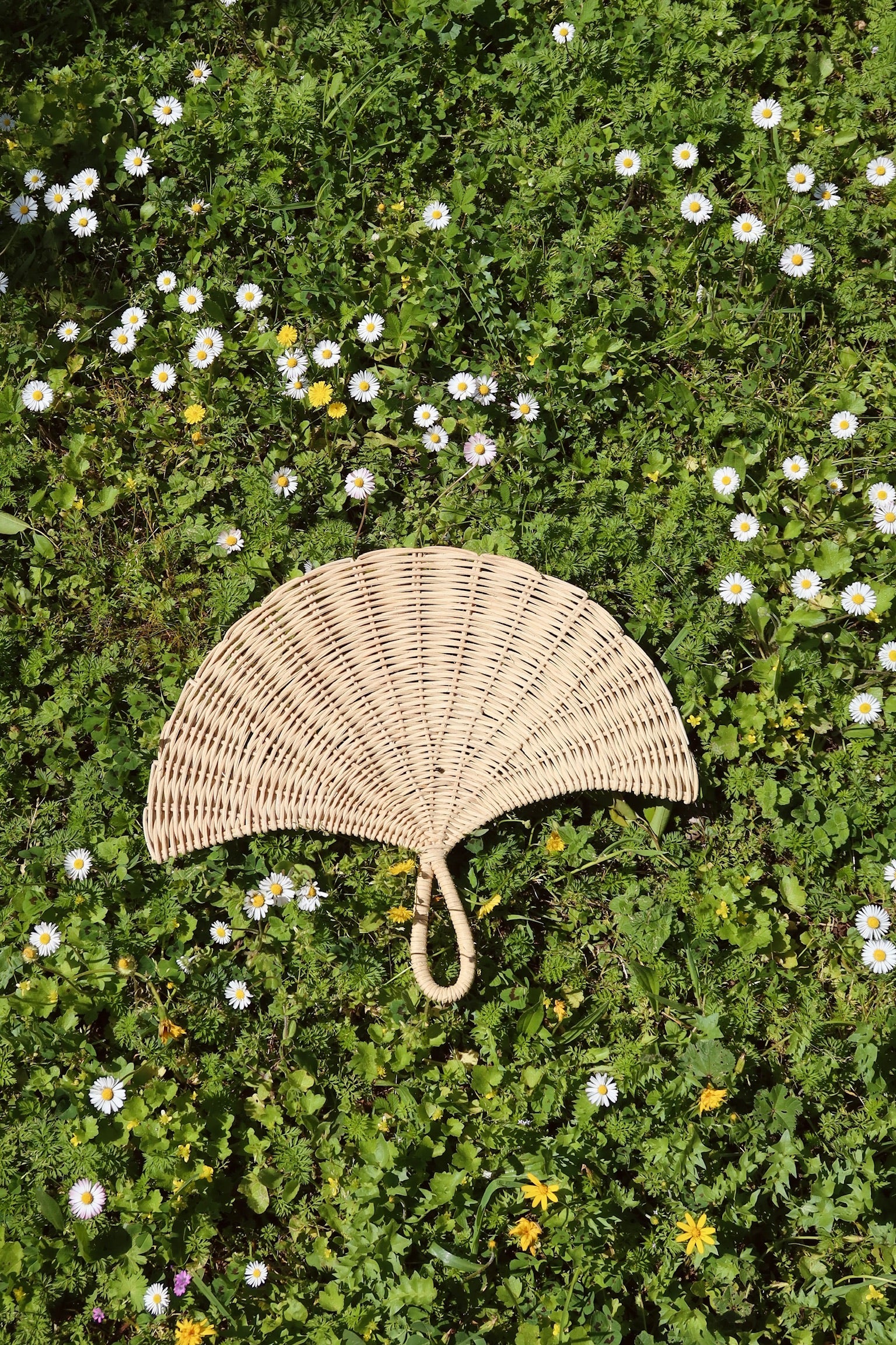 Shell Fan