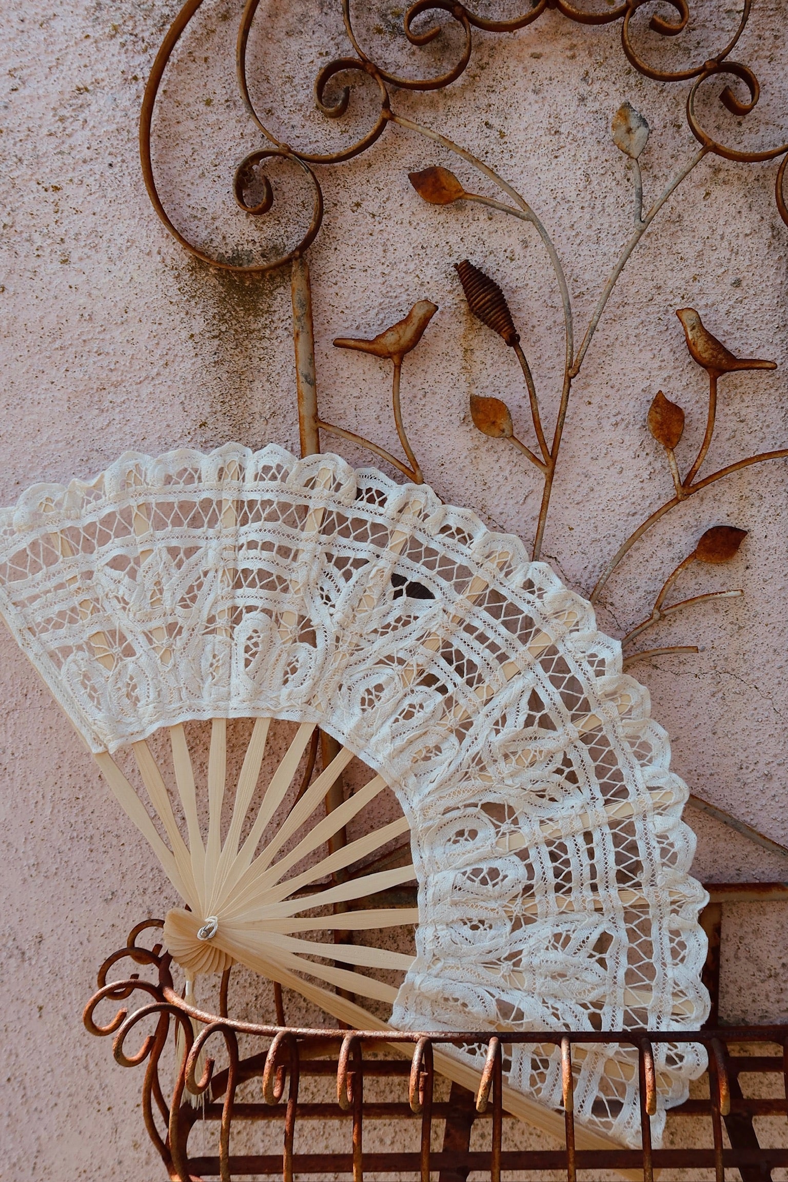 Venus Fan