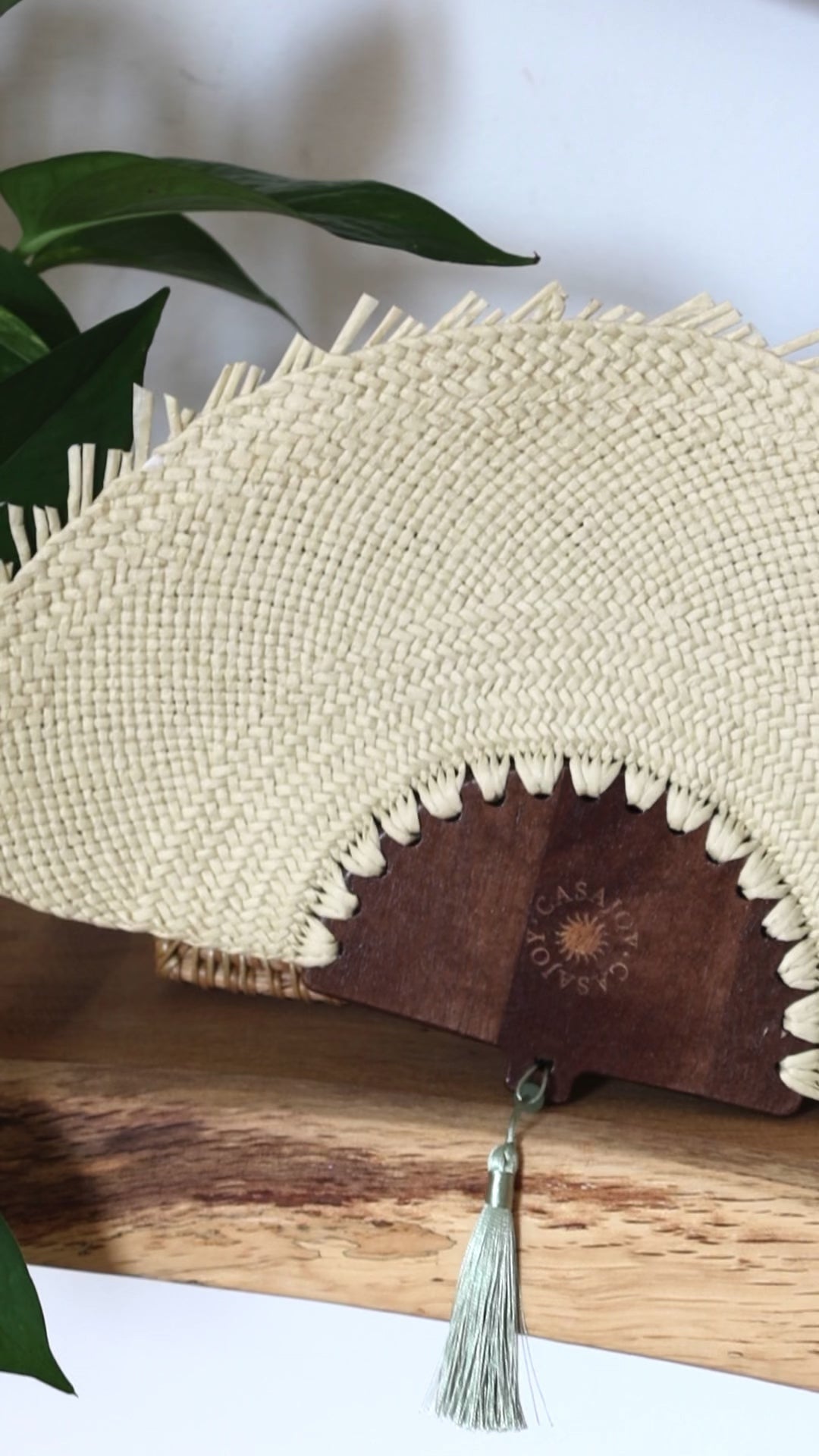 Ray Hand Fan